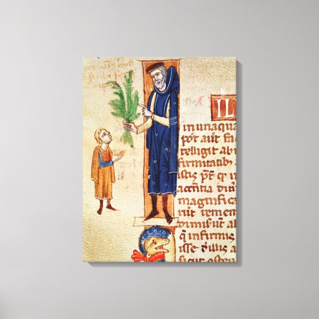 Lienzo Plantas medicinales (Anverso)