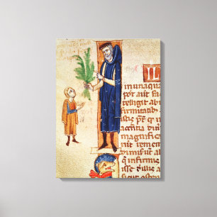 Lienzo Plantas medicinales