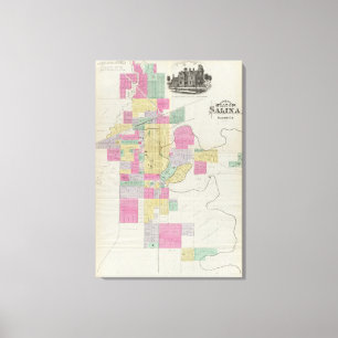 Lienzo Plat of the City of Salina, Kansas