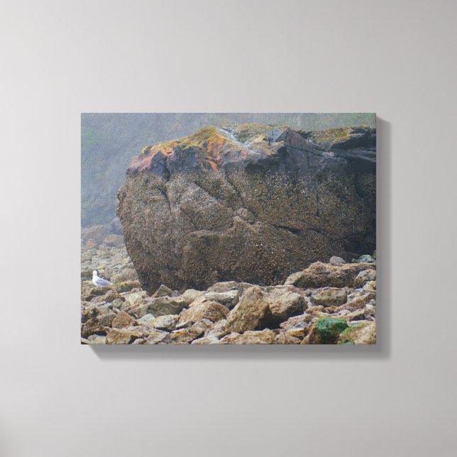 Lienzo Playa costera, rocosa, rocosa, roca, mar, única (Anverso)