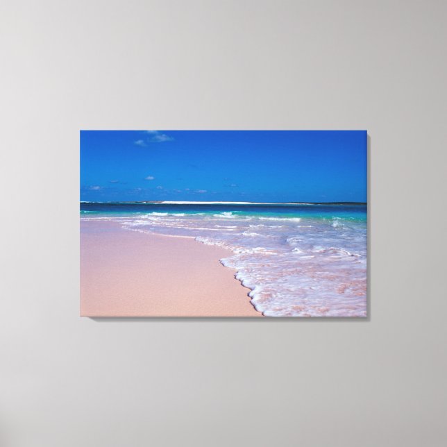 Lienzo Playa de arena rosa en Conch Bay, Isla del Gato, (Anverso)