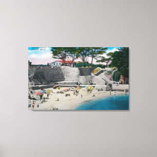 Lienzo Playa de baño en la arboleda pacífica