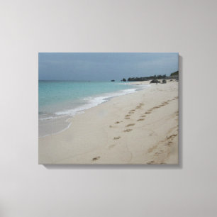 Lienzo Playa de Bermudas