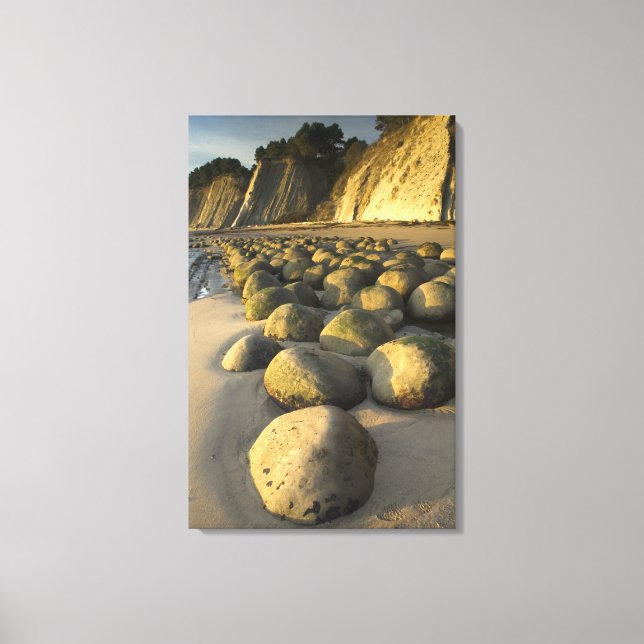 Lienzo Playa de boliche en la costa de Mendocino en Calif (Anverso)