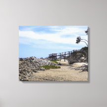 Playa de Sapelo Island