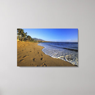 Lienzo playa Kaanapali, Maui, Hawái, EE. UU.