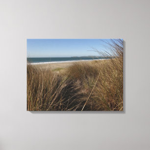 Lienzo Playa Limantour en Point Reyes National Seashore I