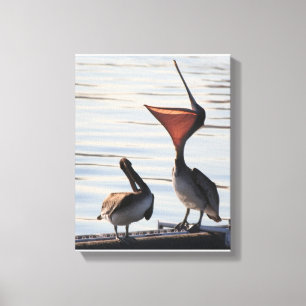 Lienzo Playa Pelican Birds Wildlife Animals
