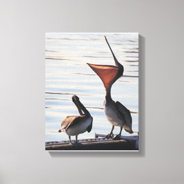 Lienzo Playa Pelican Birds Wildlife Animals (Anverso)