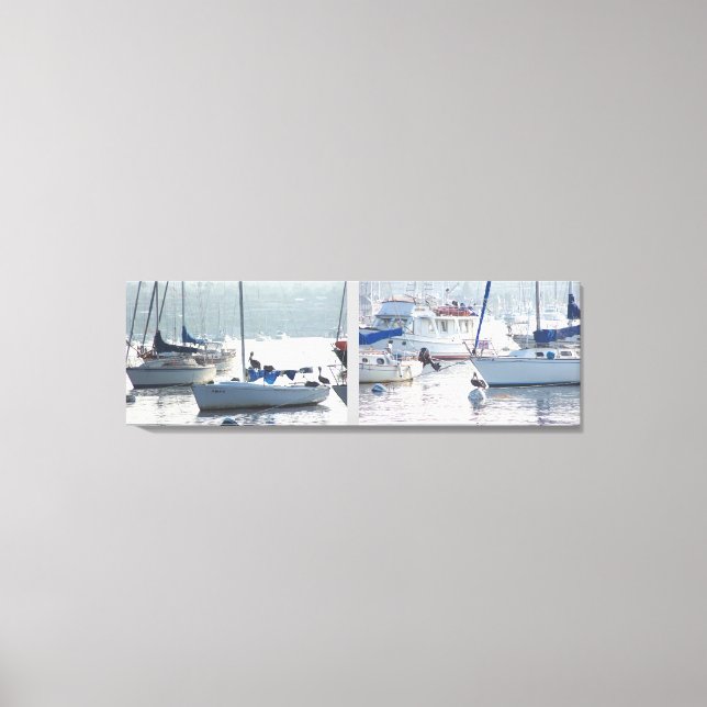 Lienzo Playa Pelican Birds Wildlife Animals (Anverso)