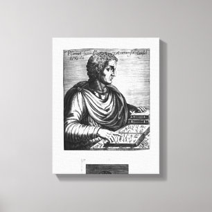 Lienzo Plinio la anciano