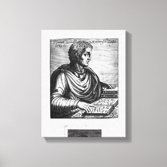 Lienzo Pliny el anciano (Anverso)