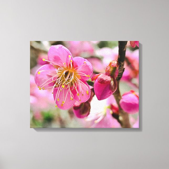 Lienzo Plum Blossom Close-Up (Anverso)