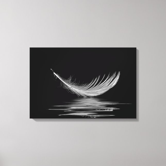 Lienzo pluma blanca flotando en agua negra (Anverso)