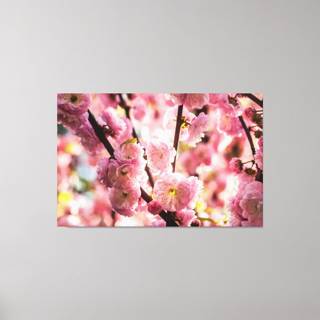 Lienzo Pluma de flores - Paradismo rosa (Anverso)