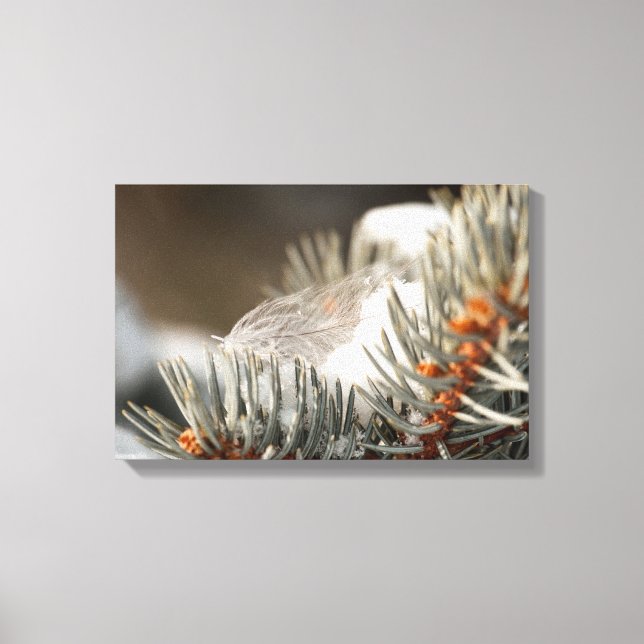 Lienzo Pluma Gris En Rama Evergreen Nevada (Anverso)