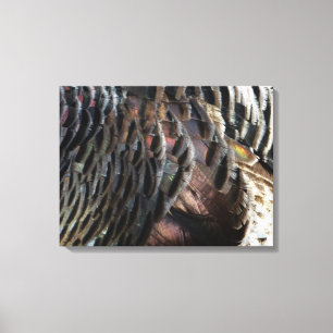 Lienzo Plumas de pavo silvestre I Diseño abstracto de la