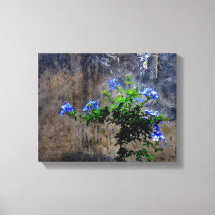 Lienzo Plumbago azul