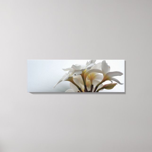 Lienzo Plumeria (Anverso)
