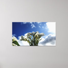 Lienzo Plumeria floreciente contra un cielo radiante