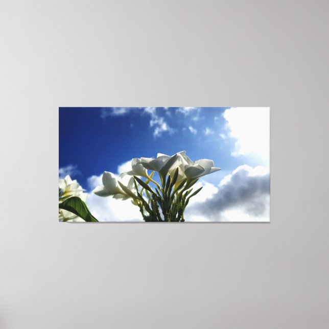Lienzo Plumeria floreciente contra un cielo radiante (Anverso)