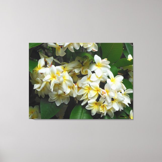 Lienzo Plumeria hawaiana (Anverso)