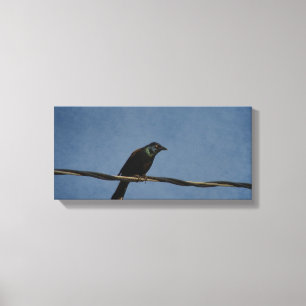 Lienzo Poder Grackle