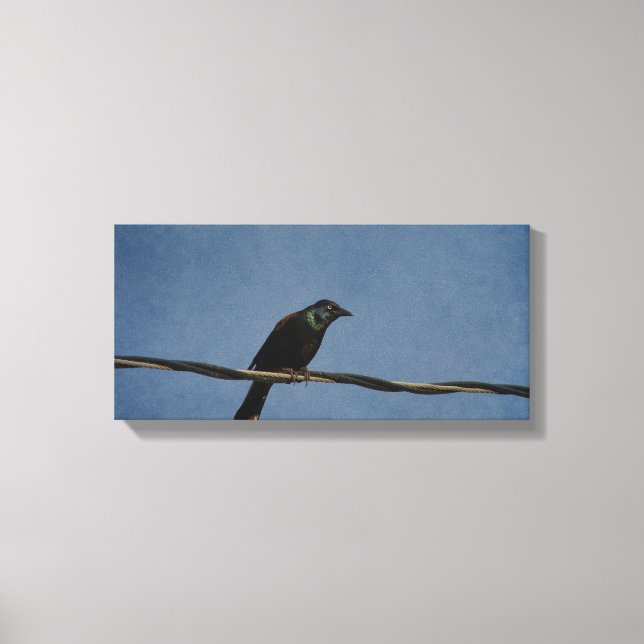 Lienzo Poder Grackle (Anverso)