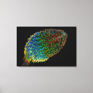 Lienzo POKER CALIENTE ROJO 24x36