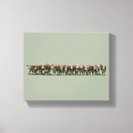 Lienzo Poll Herefords