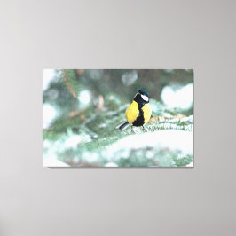 Lienzo Pollo Azul En Árbol De Spruce Verde