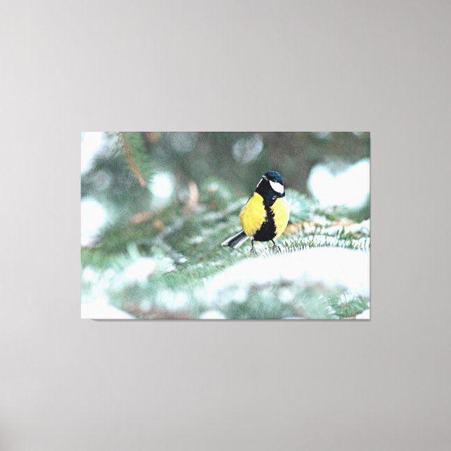 Lienzo Pollo Azul En Árbol De Spruce Verde (Anverso)