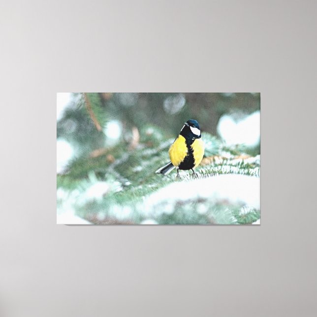 Lienzo Pollo Azul En Árbol De Spruce Verde (Anverso)