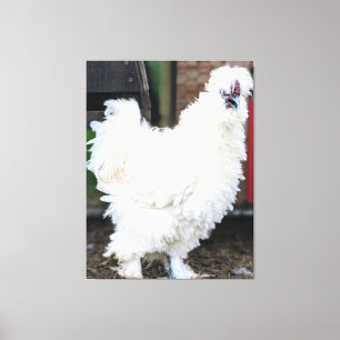 Lienzo Pollo Blanco Esponjoso al Aire Libre