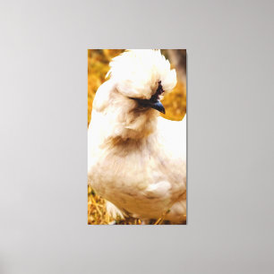 Lienzo Pollo Blanco Esponjoso en Campo
