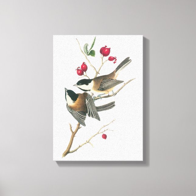Lienzo Pollo con gorras negras de Audubon (Anverso)