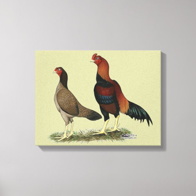 Lienzo Pollos Aseel Wheaten (Anverso)