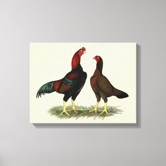 Lienzo Pollos Rojos Negros Aseel (Anverso)