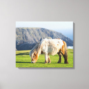 Lienzo Poni de Shetland en pastizal cerca de acantilados