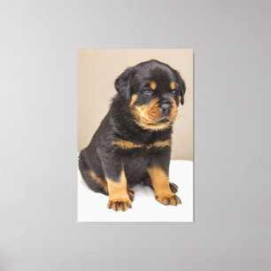 Lienzo Popo cutweiler