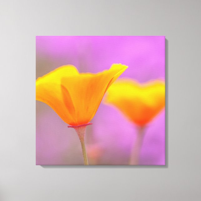 Lienzo Poppies (Anverso)