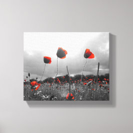 Lienzo Poppies en negro, blanco y rojo