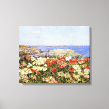 Poppies salvajes en las islas de los atolones