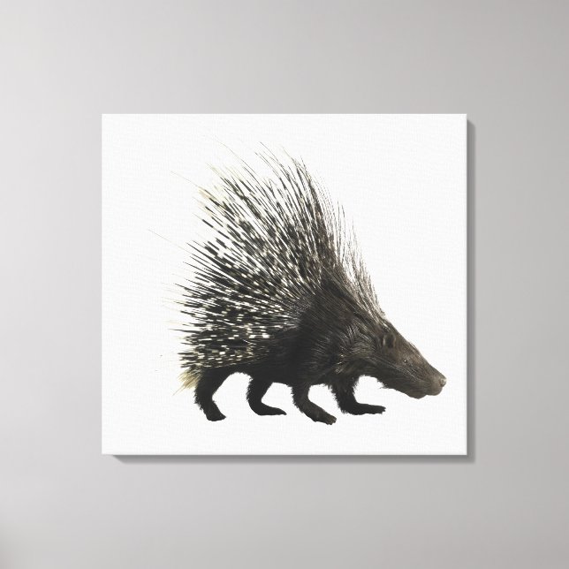 Lienzo Porcupina (Anverso)