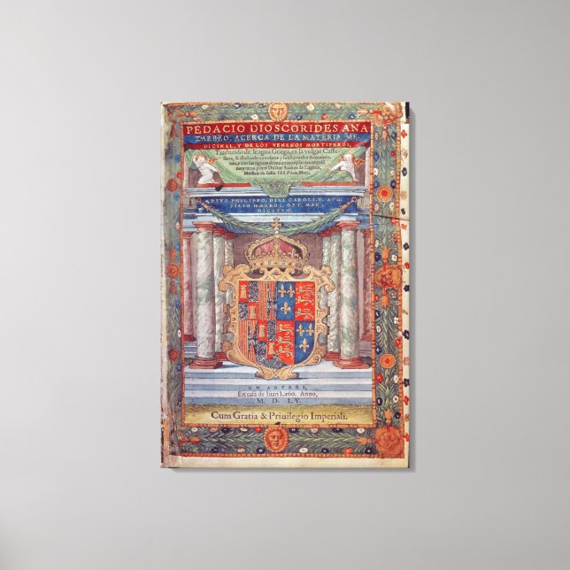 Lienzo Portada de Dioscoridas (Anverso)