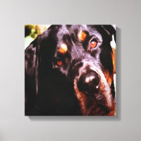 Portait Mascota artístico Rottweiler