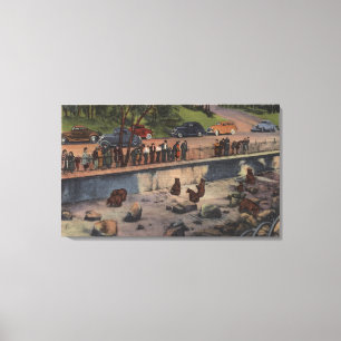 Lienzo Portland, guaridas de ORBear en el parque de