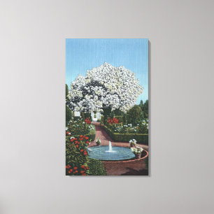 Lienzo Portland, Oregon - árbol español de la piscina y