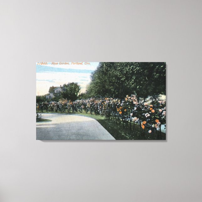 Lienzo Portland, OregonView of a Rosa Garden (Anverso)