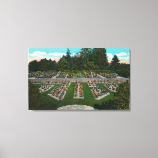 Lienzo Portland, OregonView of the Rosa Test Gardens